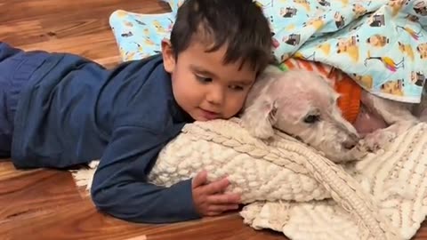 Three-Year-Old Gives Blanket And Hug To Old Dog