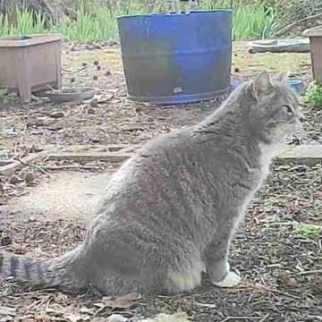 EA S113 - To Play or Not to Play