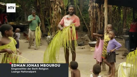 Elephant & African Wildlife #4 – Majestic Giants of Gabon