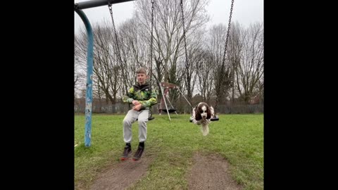 Dog Swings Next To Owner