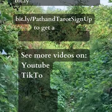 The Roots Of Love | Path and Tarot Reading