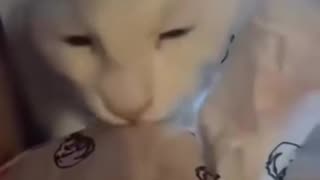 😂😱 "THIS IS MIIIIINE!!!" Hilarious Animal Moment! | FunFM