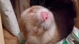 So tired ...