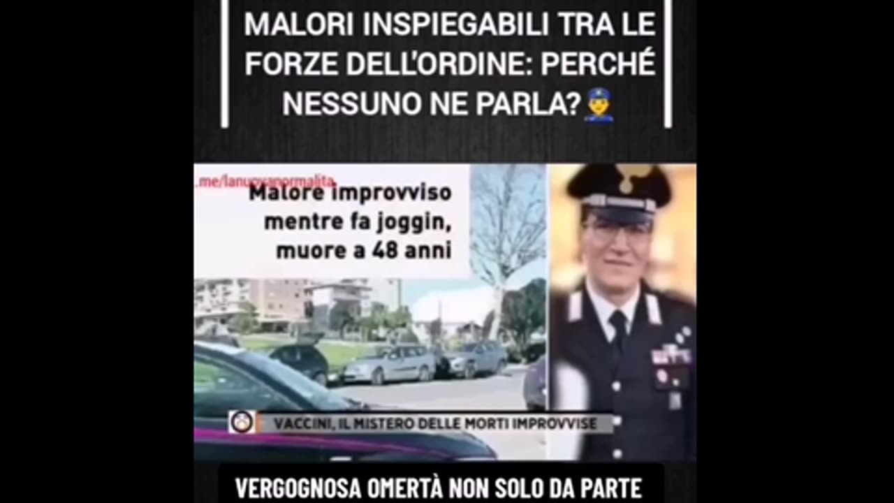 Punturina assassina.