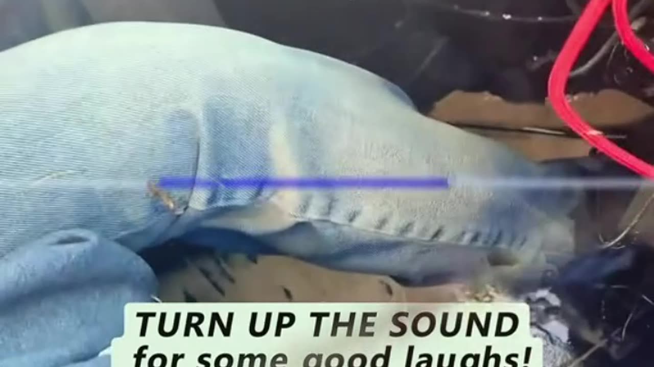 Turn up the sound for some good laughs