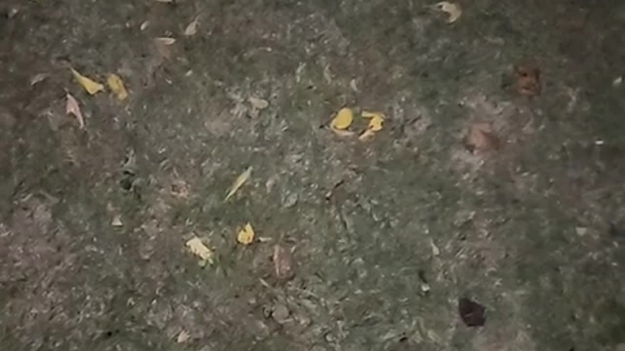 Catch #139 Michael 30 of Decatur Indiana meeting with what he believes is a 14 yo.