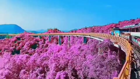 Peaceful Outdoor Views 🌳 Stunning Nature Scenes 🐦🌺 Amazing Nature Views 🍃 #Shorts