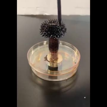 FERROFLUID AND MAGNETS