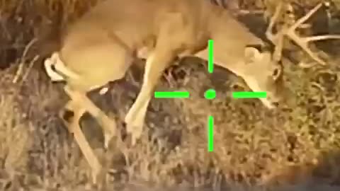 Trending: 30-30 LEVITATING FACE PLANT❌ #scopecam #shorts #deerhunting #viral #gu