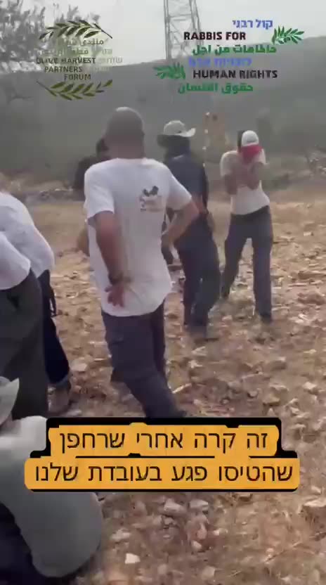 Israeli Settlers Attack Palestinians During Olive Harvest
