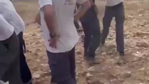 Israeli Settlers Attack Palestinians During Olive Harvest