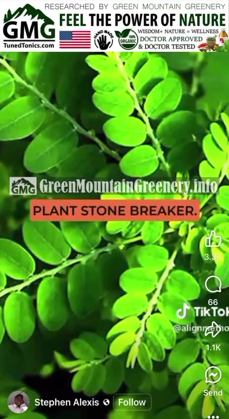 Kidney stone crusher