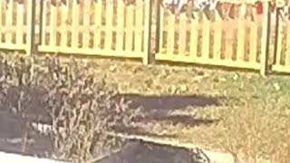 A nonprofit organization that provides childcare services apparently to illegal aliens admits