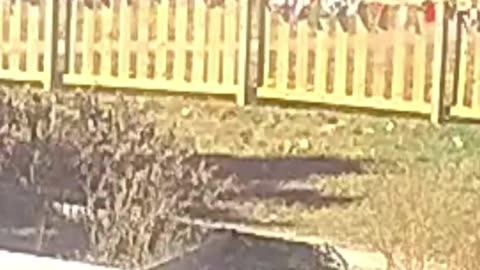 A nonprofit organization that provides childcare services apparently to illegal aliens admits