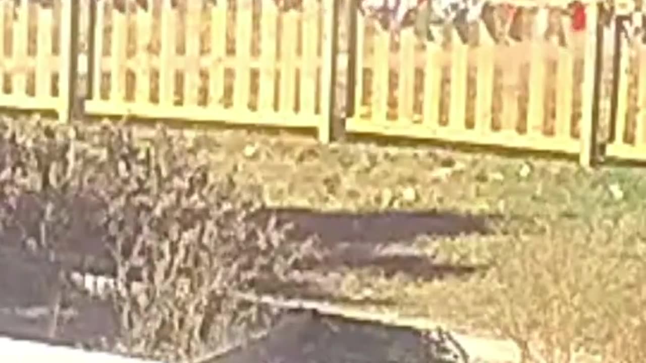 A nonprofit organization that provides childcare services apparently to illegal aliens admits