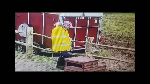 Funny moments caught on camera
