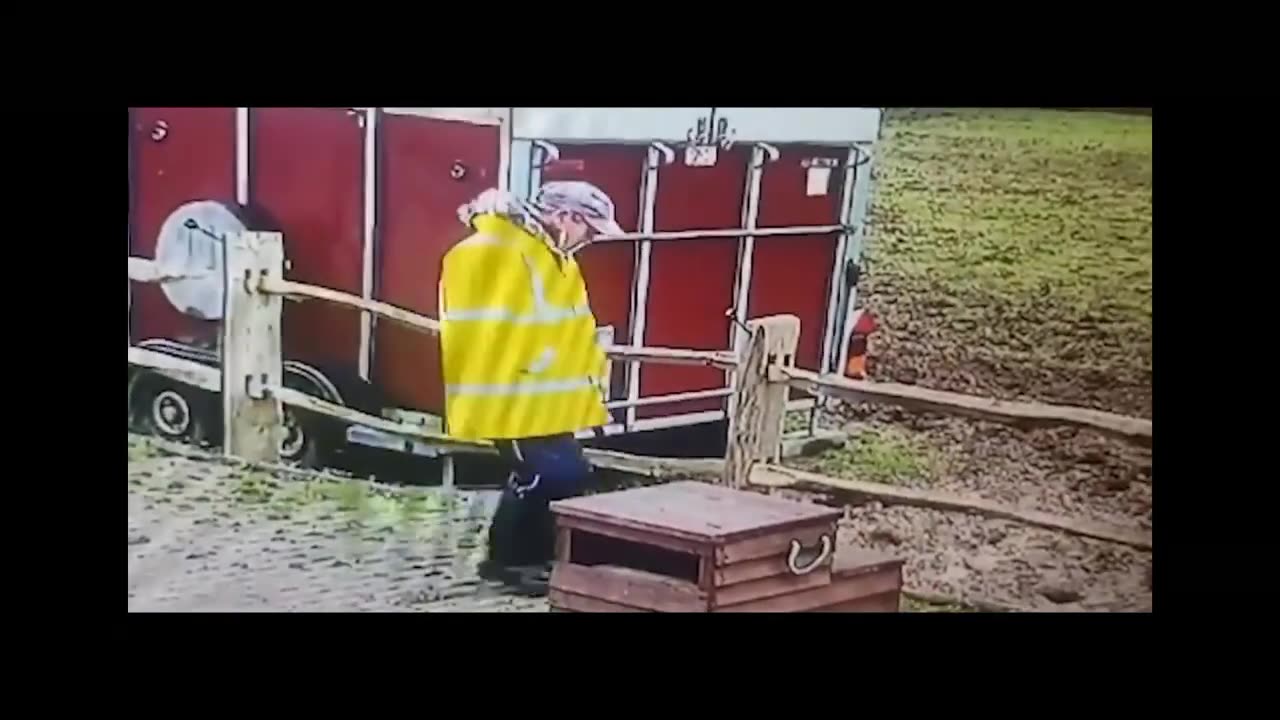 Funny moments caught on camera