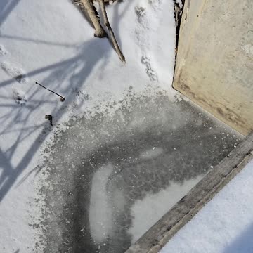 A Mink Visits My Set Location 3 Weeks Too Late