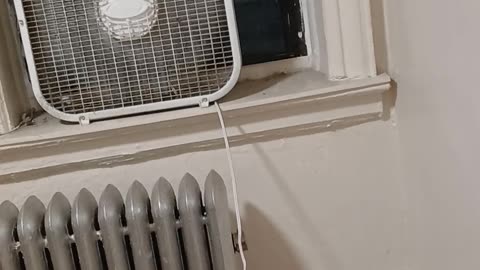 Politicians prepare Lower East Siders for the inevitably of ICE