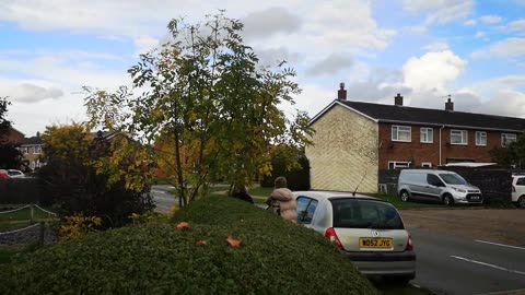 Time to Follow Your Golden Compass