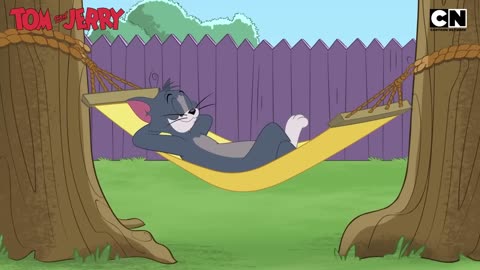 Funny Tom _ Jerry _ Tom’s Craziest Traps for Jerry!