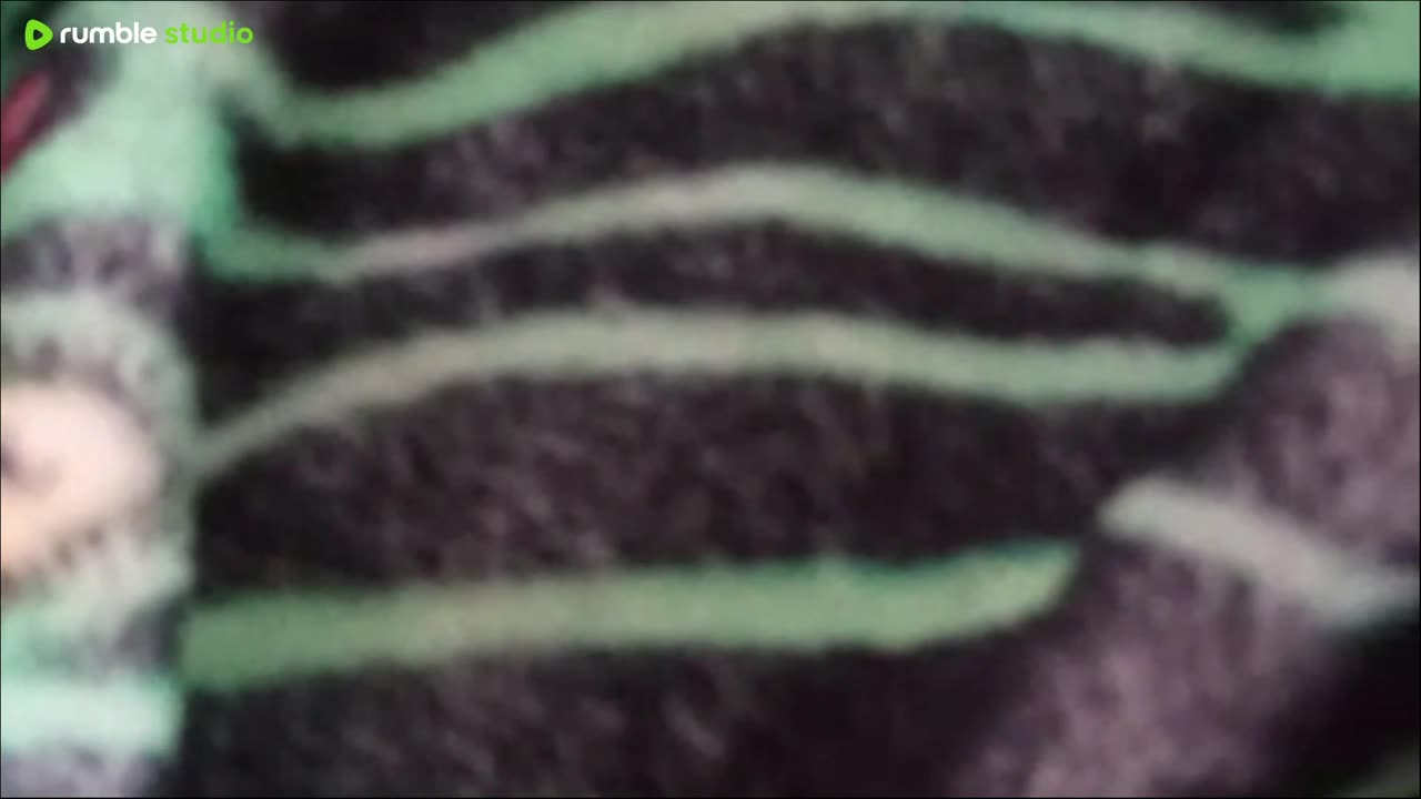 my contender hat's put up