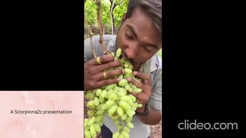 Take precautions while eating green grapes..a narration in Hindi