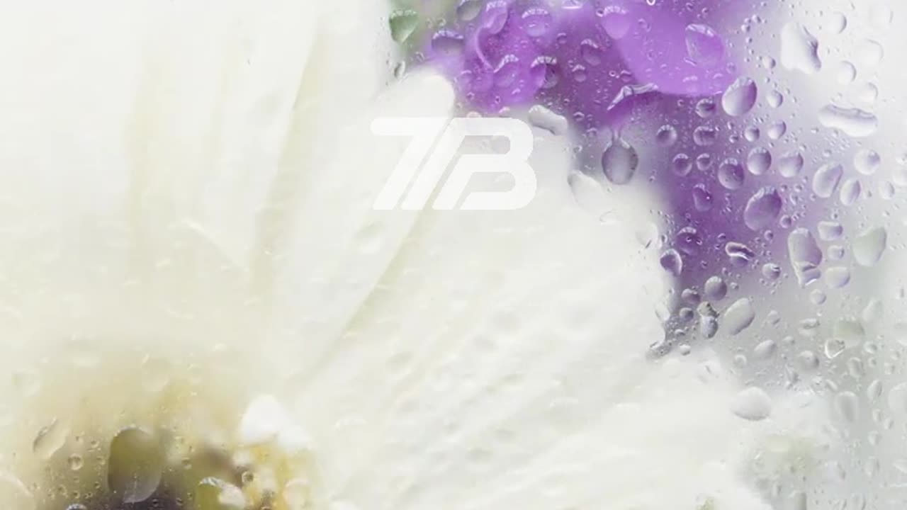 Never take today for granted