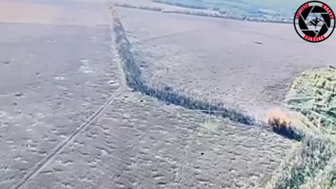 💥🌳 Ukraine Russia War | FAB-500 Airstrike Hits Treeline in Eastern Ukraine | RCF