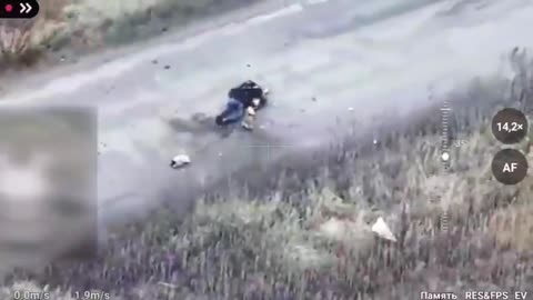 Ukraine Drone Strike Against a Civilian and his Dog (Disturbing Viewing)