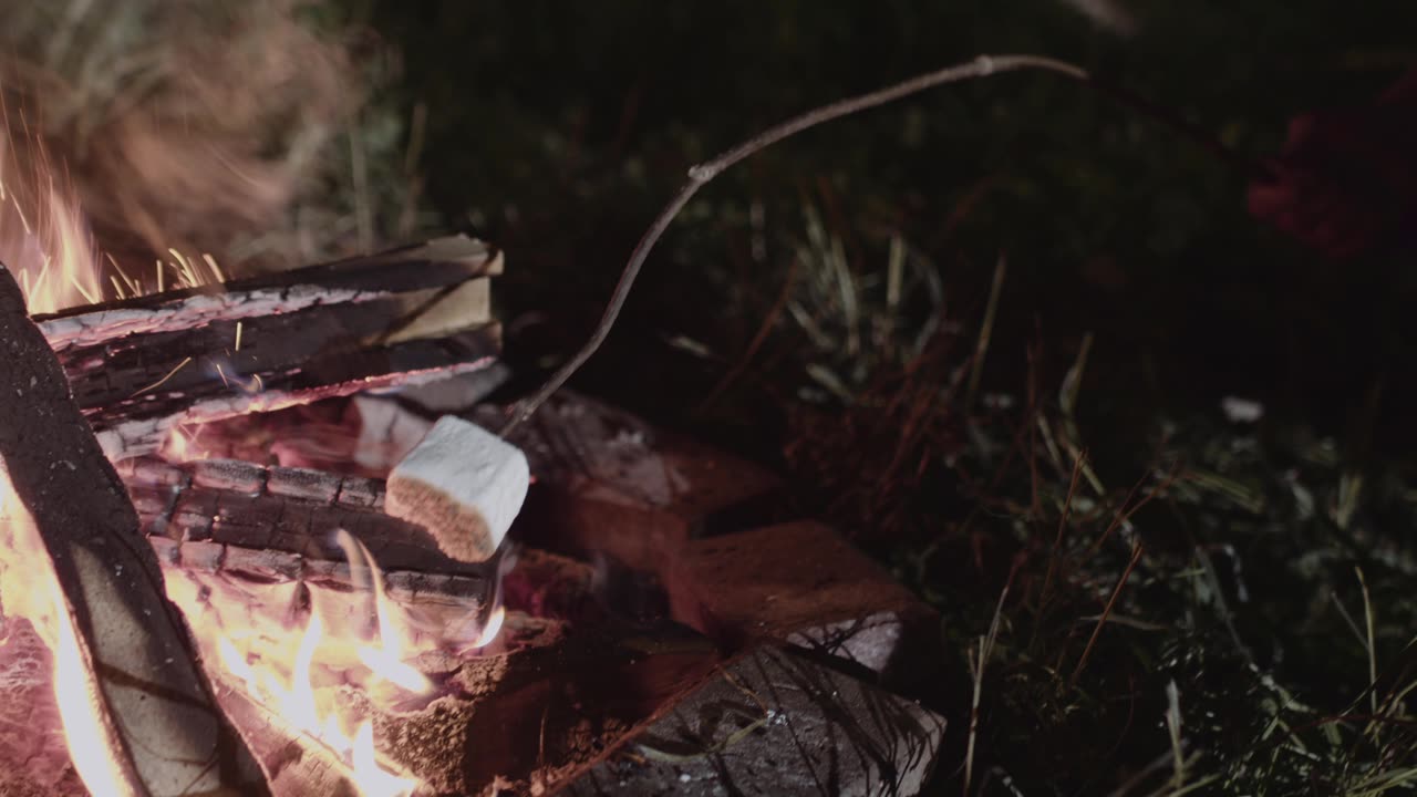 CAMPFIRE RUFF HORROR MOVIE