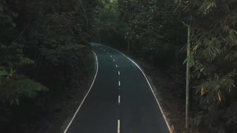 Poe 🌴🌺 Exploring the Beauty of Sri Lanka 🏞️✨