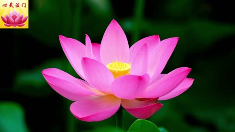 2025 9 29 #心灵法门 #卢军宏