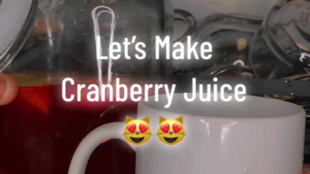 Make Your Own Cranberry Juice