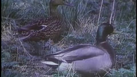 USA WORLDNET September 19, 2001 1130am-1147am EDT