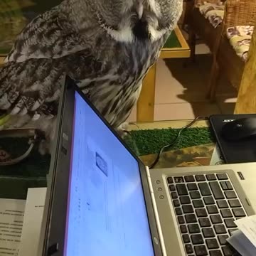 We all know bosses like this 😂