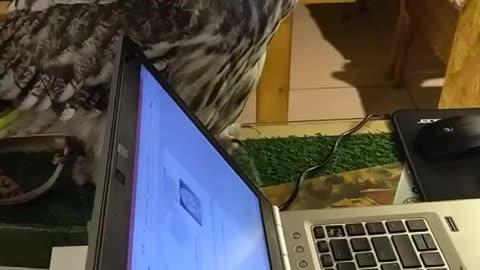 We all know bosses like this 😂