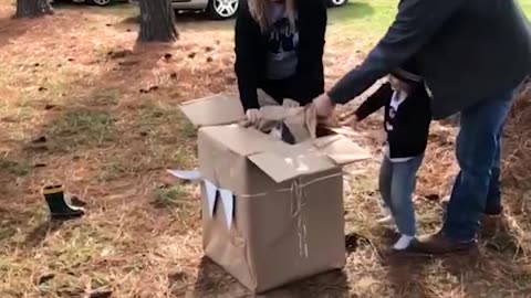 Funny Hilarious Gender Reveal Fails Try Not to Laugh Challenge!