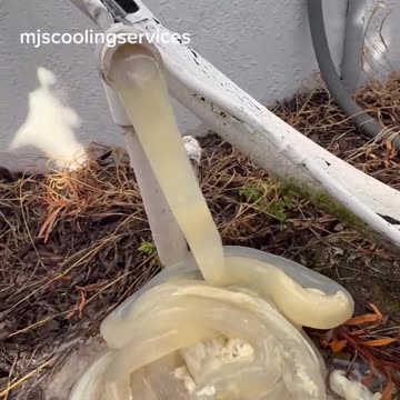 Florida algae clogs