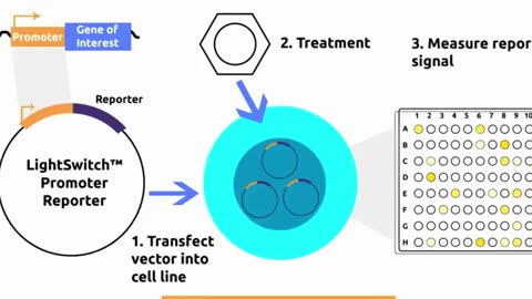 THEY HAVE SPOKEN (TERRIFYING DOCUMENTARY)