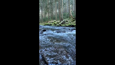 I would you try freshly smoked fish)?