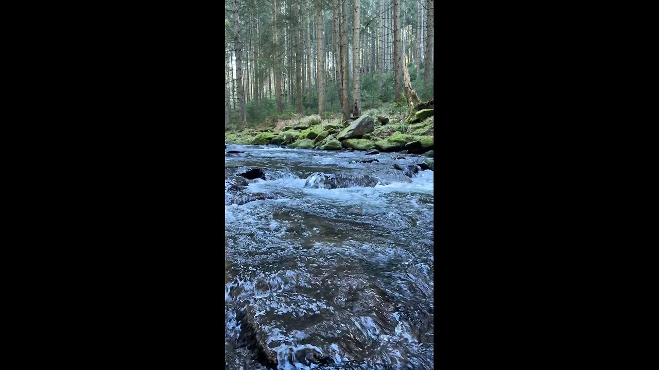 I would you try freshly smoked fish)?