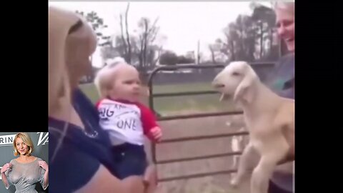 Funny Videos And Memes Compilation 3