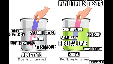 Theological Litmus Tests - Finding a Based Church and Based Contemporary Authors