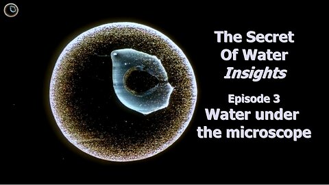 The Secret of Water – Insights –Episode 3 - Water under the microscope