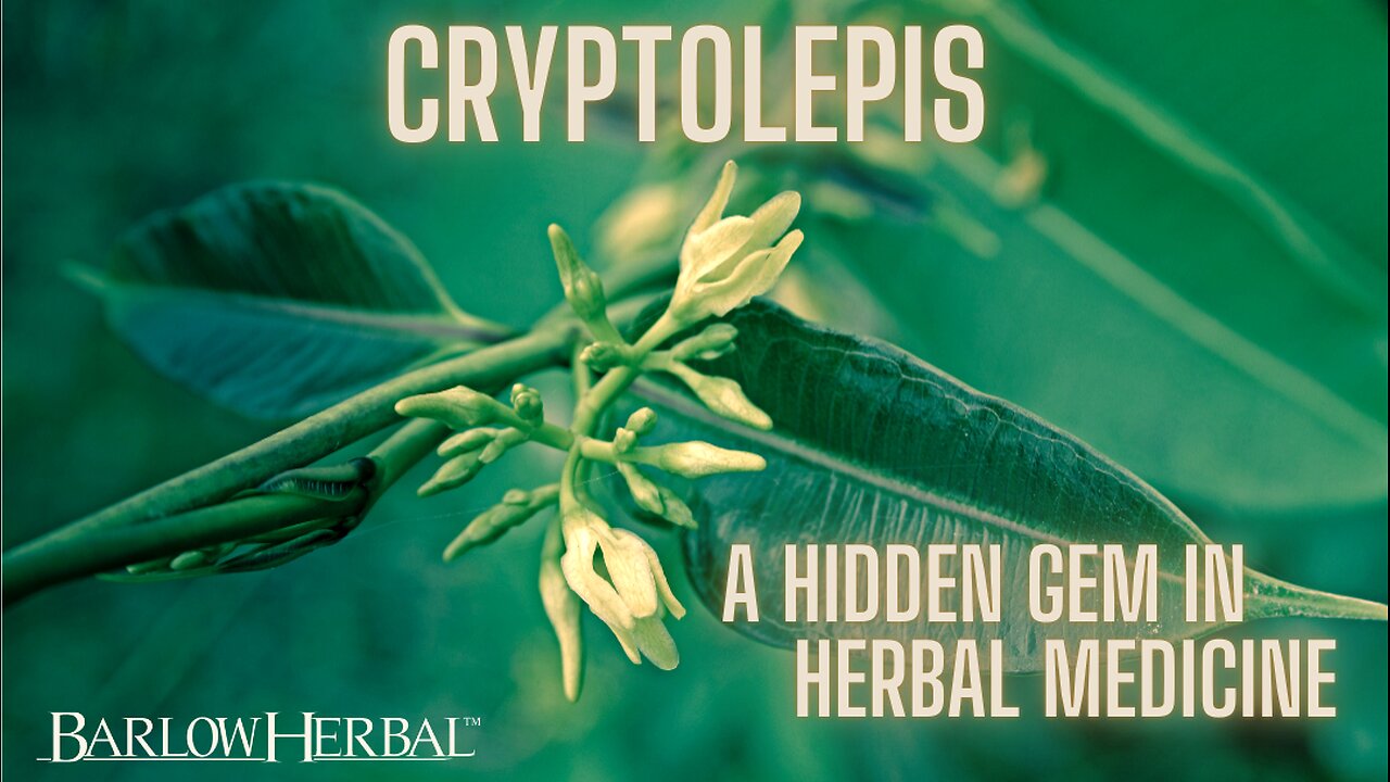 The Health Benefits of Cryptolepis