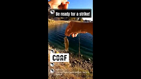 Be ready to set the hook #flyfishing #fishing #bass