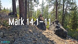 Mark 14:1-11, Bible Reading in Nature, BSB