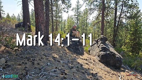 Mark 14:1-11, Bible Reading in Nature, BSB