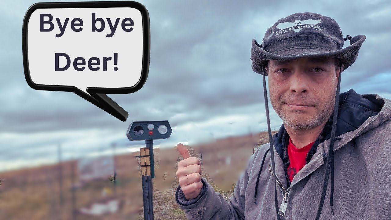 Keeping Deer Away From the Fruit Trees